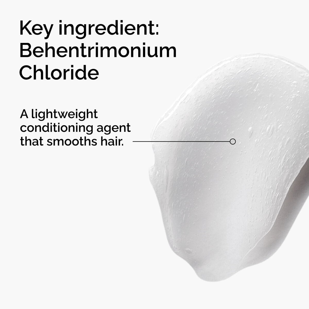 behentrimonium-chloride-2-conditioner-b1 FY25-D41247-ORD-Web-PDP-BTC-1x1-EN-2a.jpg