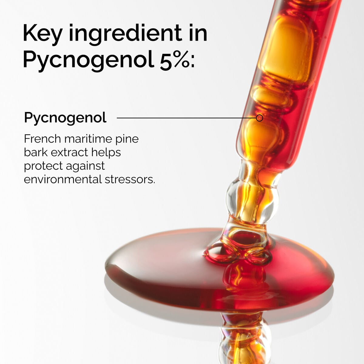 pycnogenol-5-d3 FY25-D41247-ORD-Web-PDP-Pyc-5pct-1x1-EN-2a.jpg