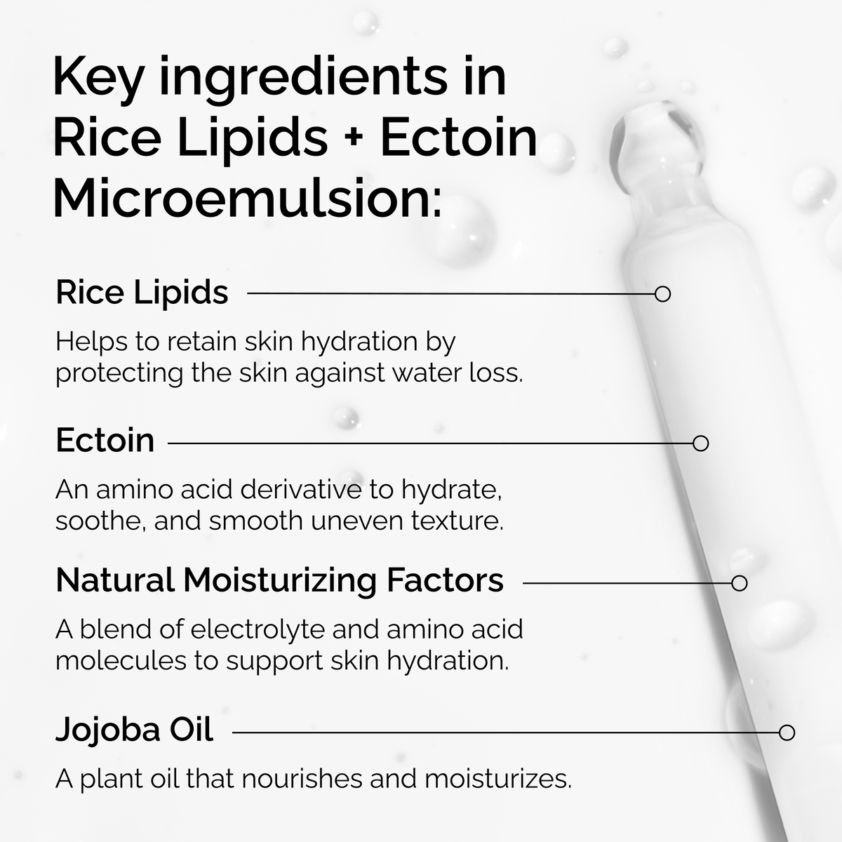 rice-lipids-ectoin-microemulsion-i9 ord-rice-lipids-ectoin-microemulsion-key-ingredients.png